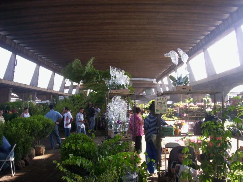 Feira de flores do CEASA