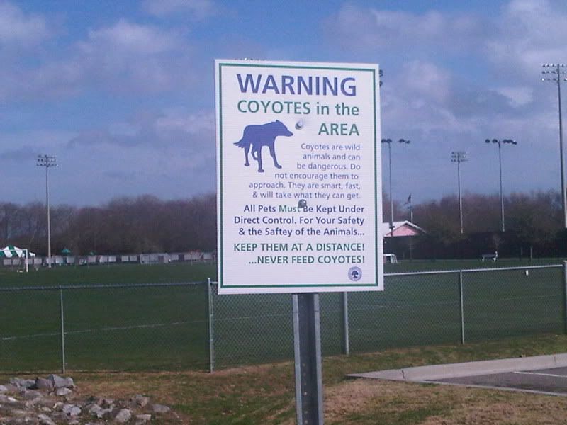 Coyotesighn.jpg