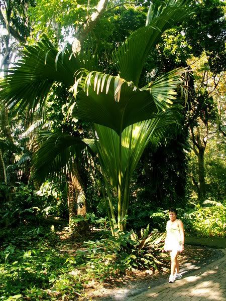 PICT0035.jpg