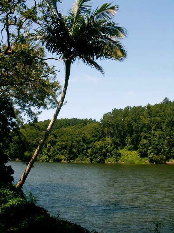 PICT0379.jpg
