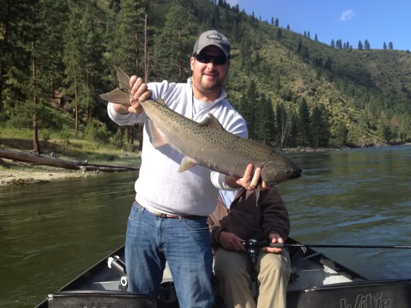 301 Moved Permanently