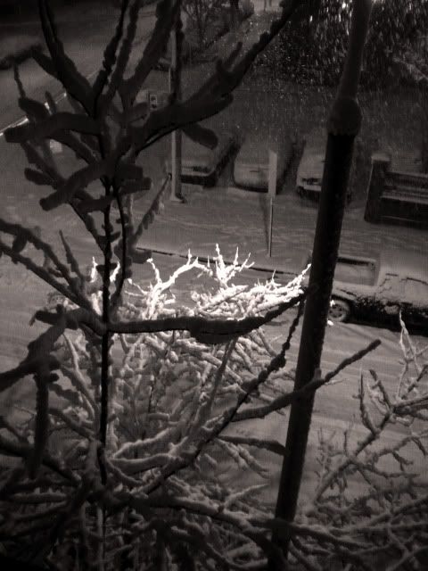 DSCN2648.jpg