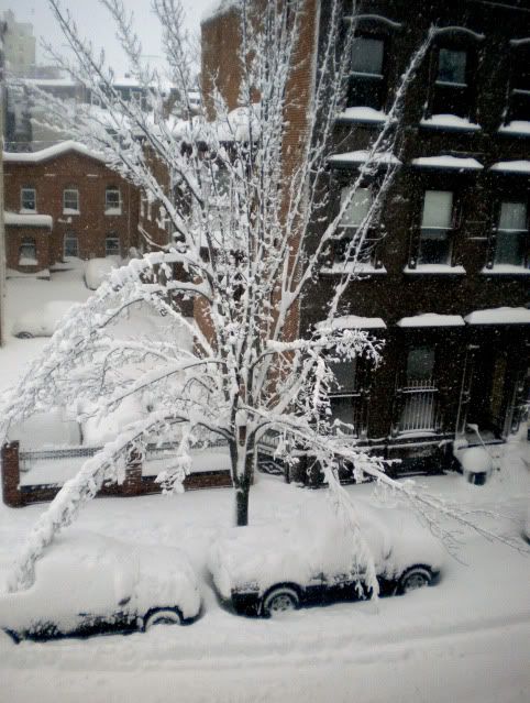 DSCN2725.jpg