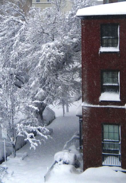 DSCN2763.jpg