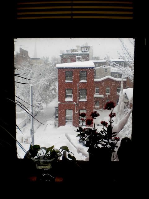 DSCN2797.jpg