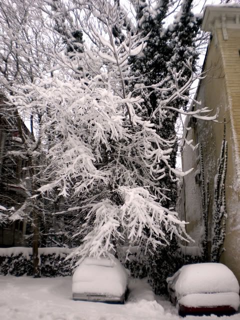 DSCN2824.jpg