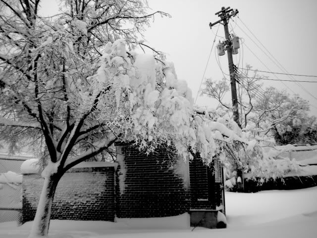 DSCN2829.jpg
