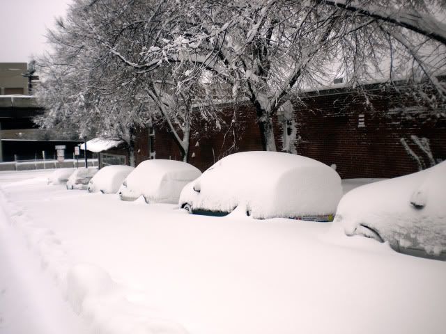 DSCN2835.jpg