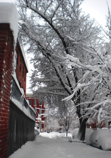 DSCN2849.jpg