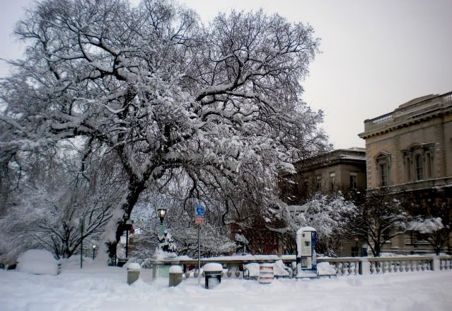 DSCN2915.jpg