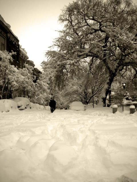 DSCN2920.jpg