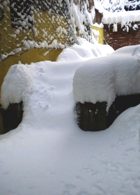 DSCN3006.jpg