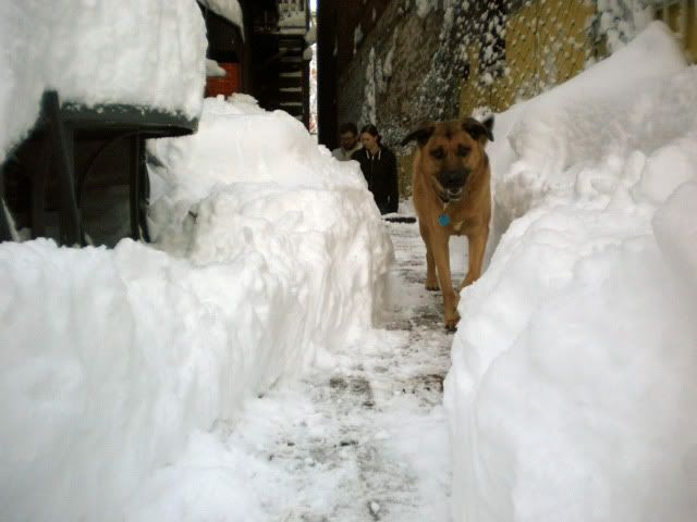DSCN3053.jpg