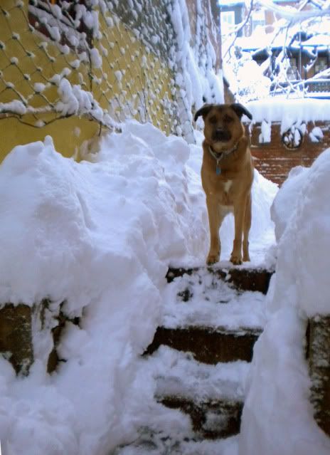 DSCN3057.jpg