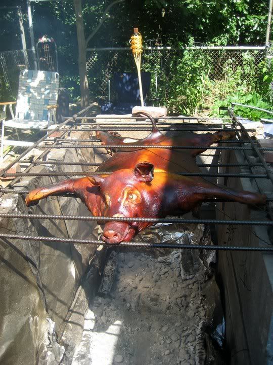 pig2.jpg