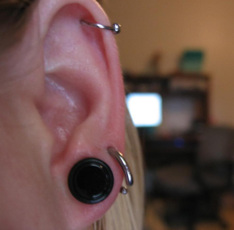 Hiding piercings, tattoos, and gauges?