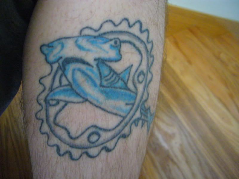 Sean Ohara - Hammerhead Shark. Tattoos. Nature Animal Shark Tattoos