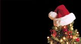 TreeTopper2.jpg image by ditzblondey