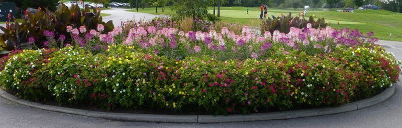  photo AGlen4OClock2_1_zpseee82d32.jpg