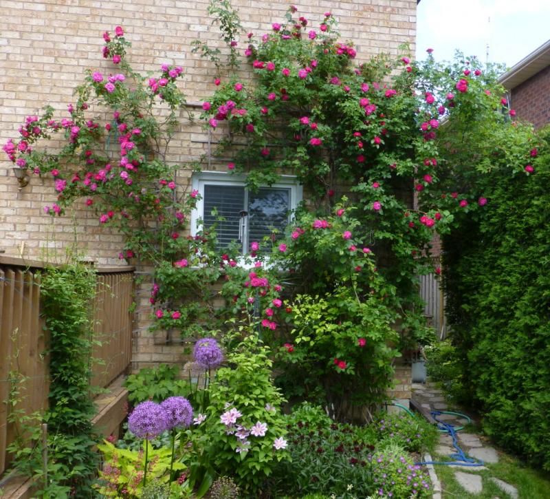 photo Cabot22014_1_zps5e0cb233.jpg