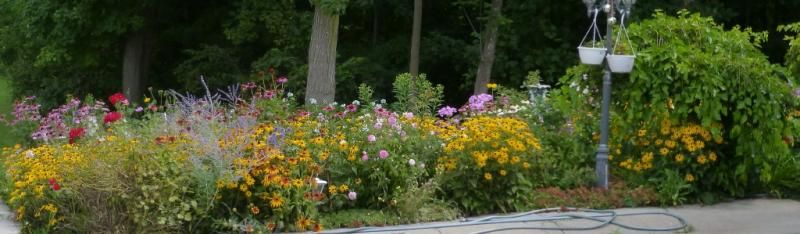  photo FRONTYARDGARDENsideview_1_zpseeff51df.jpg