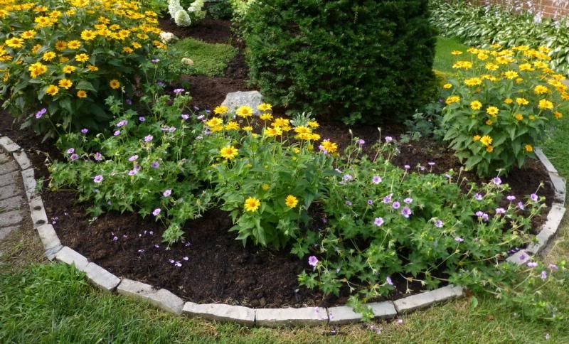  photo HBlues_1_zps59cb6014.jpg