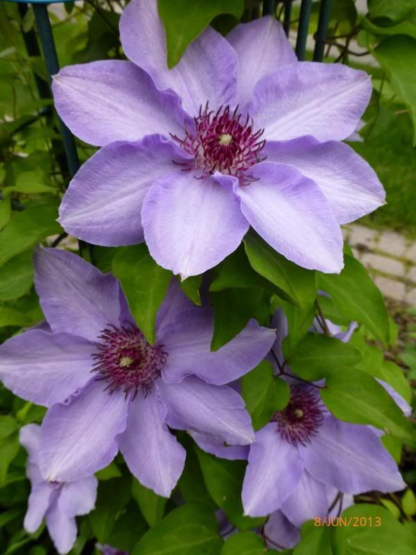  photo P1000687_zpsf3cbc0d3.jpg