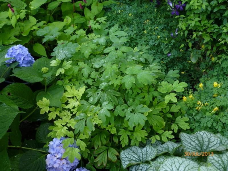  photo P1010517_1_1_zps8c39899b.jpg