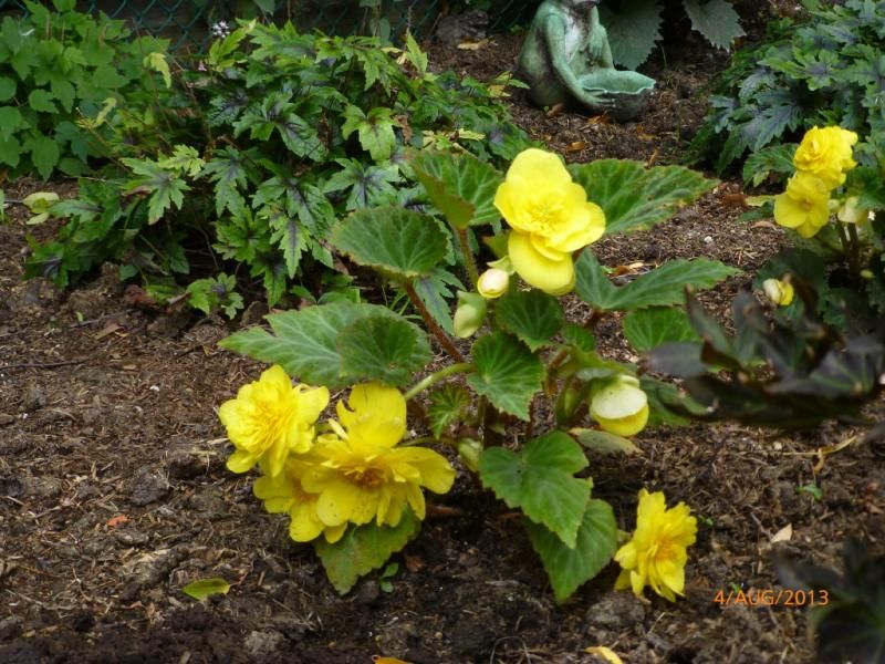  photo P1010609_1_1_zpsad6fc4e2.jpg