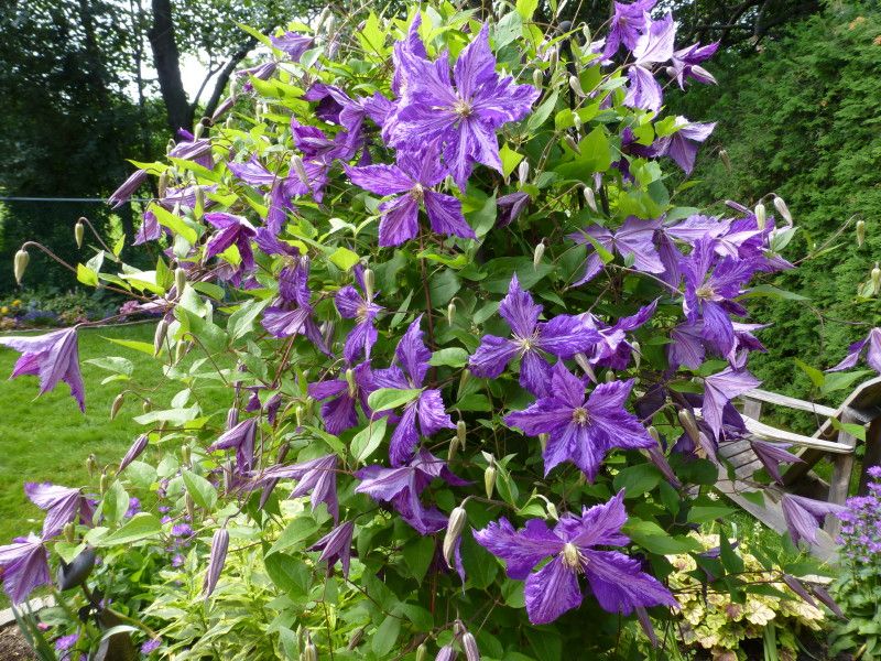  photo P1020677_1_zpsc26504c6.jpg