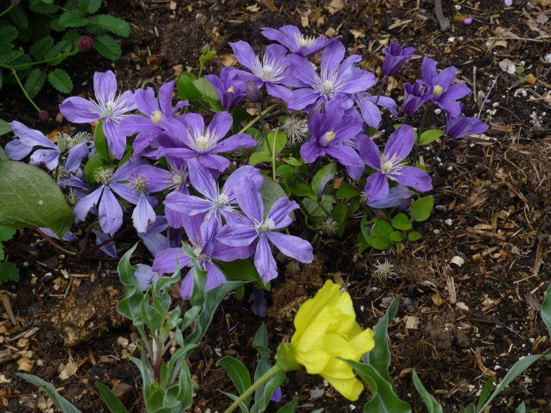  photo P1020959_1_zpsfda5354d.jpg