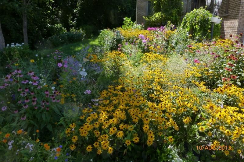  photo Raymerville2Lawn_1_zps0e71e1c0.jpg