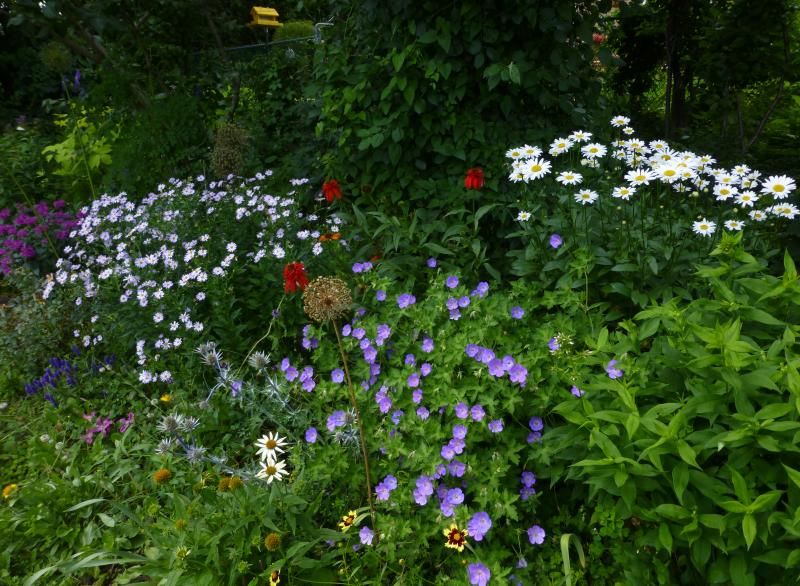  photo RoseanneBeckyKalemeris3_zps2c89e2ce.jpg