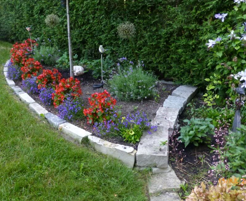  photo leftwing_1_zps3779376f.jpg