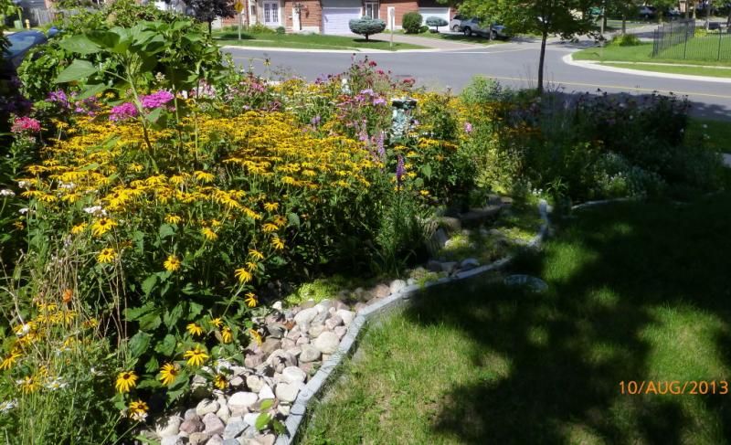  photo raymervilleLawn1_1_zps83b3761d.jpg