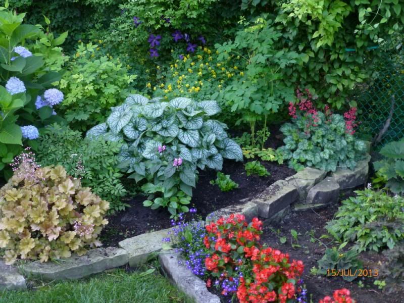  photo rightwing_1_zpscfa51f61.jpg