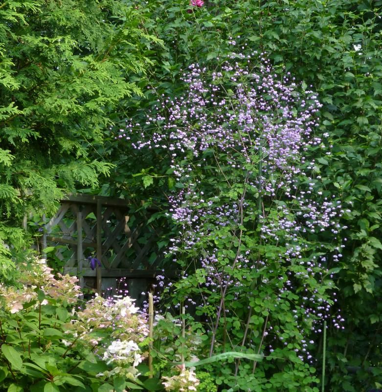  photo shadeSplendide2014_zps01f1329e.jpg