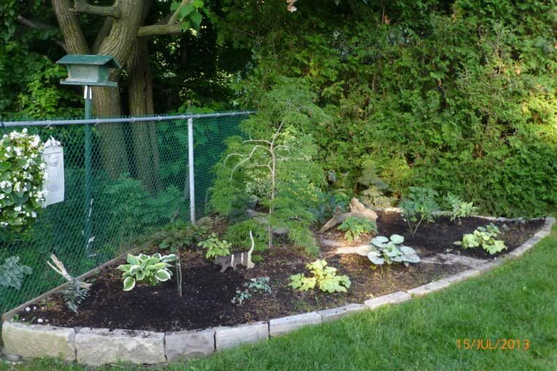  photo shadegardenstones_1_zps9fffdcdd.jpg