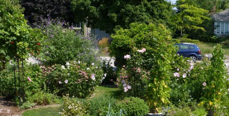  photo woodypic4_1_zps82998a9d.jpg