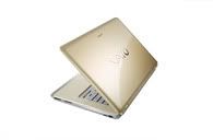 champagne gold vaio