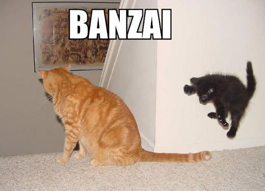Forum Image: http://i7.photobucket.com/albums/y254/di_black2/funny/banzai.jpg