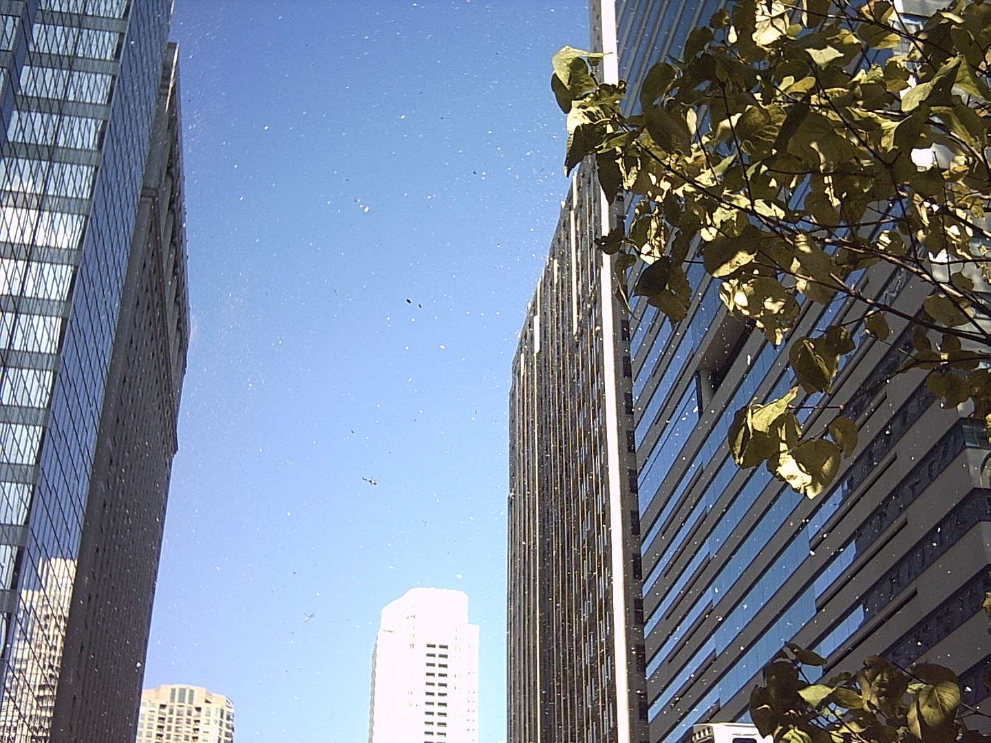 Ticker tape falling from the sky