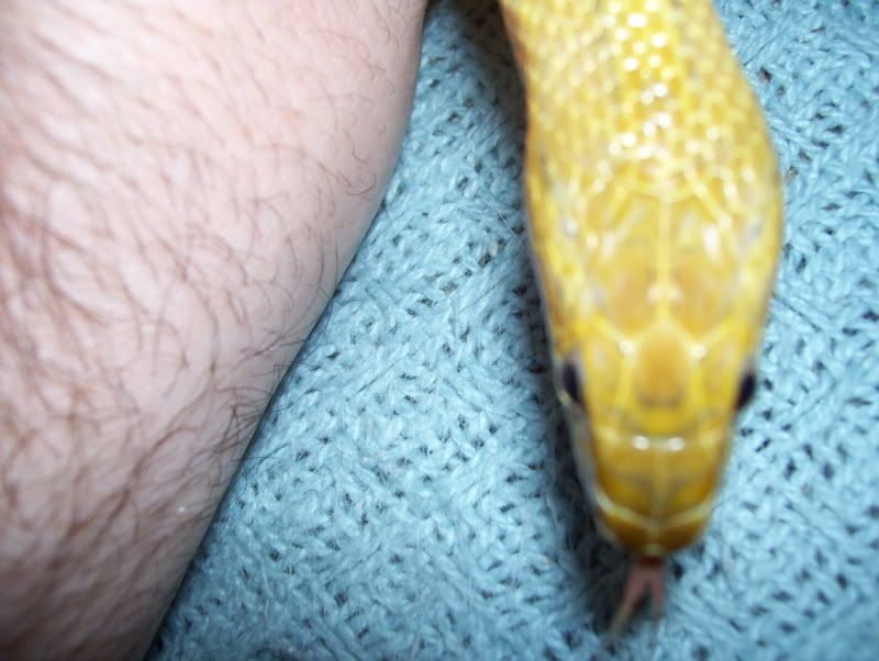 100_2614.jpg