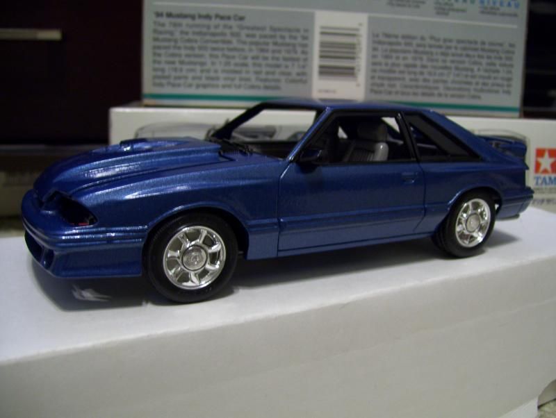 100_4186_zpse8208add.jpg
