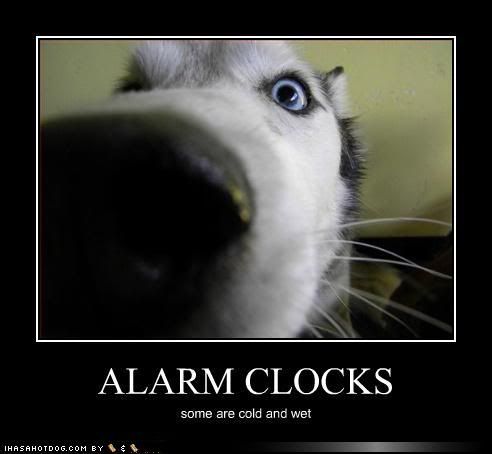 AlarmClocks.jpg