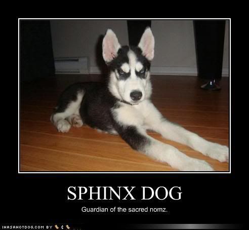 sphinxdog.jpg