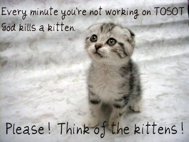 kitten