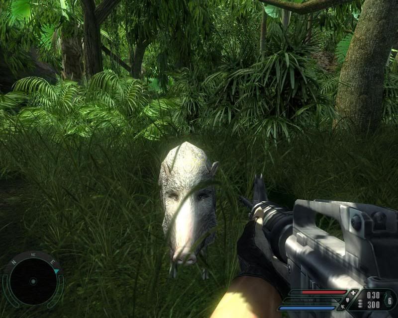 FarCry2007-04-2312-13-19-04.jpg