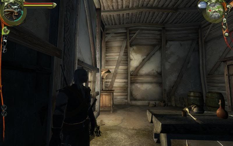 witcher2007-12-2214-18-40-68.jpg