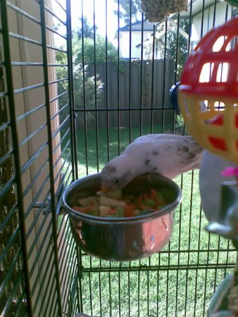 Image139.jpg